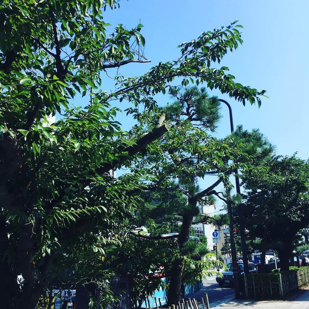 林伊織さんのインスタグラム写真 - (林伊織Instagram)「夏。  #陽射し #照り返し #熱量」7月17日 15時39分 - iori_haya4