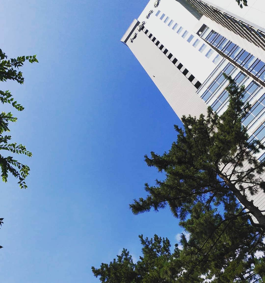 法政大学さんのインスタグラム写真 - (法政大学Instagram)「梅雨の晴れ間、爽やかな青空が広がっています。外濠の水面にも太陽がきらめいています。 #法政 #大学 #hosei #university #市ヶ谷 #キャンパス #ボアソナードタワー #富士見ゲート #外濠 #青空 #hoseiblue #bluesky」7月17日 15時52分 - hosei_university