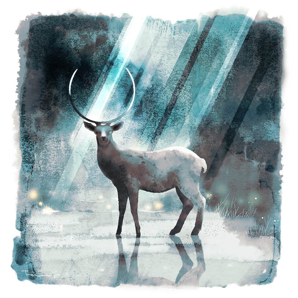 のインスタグラム：「#illustration #artwork」