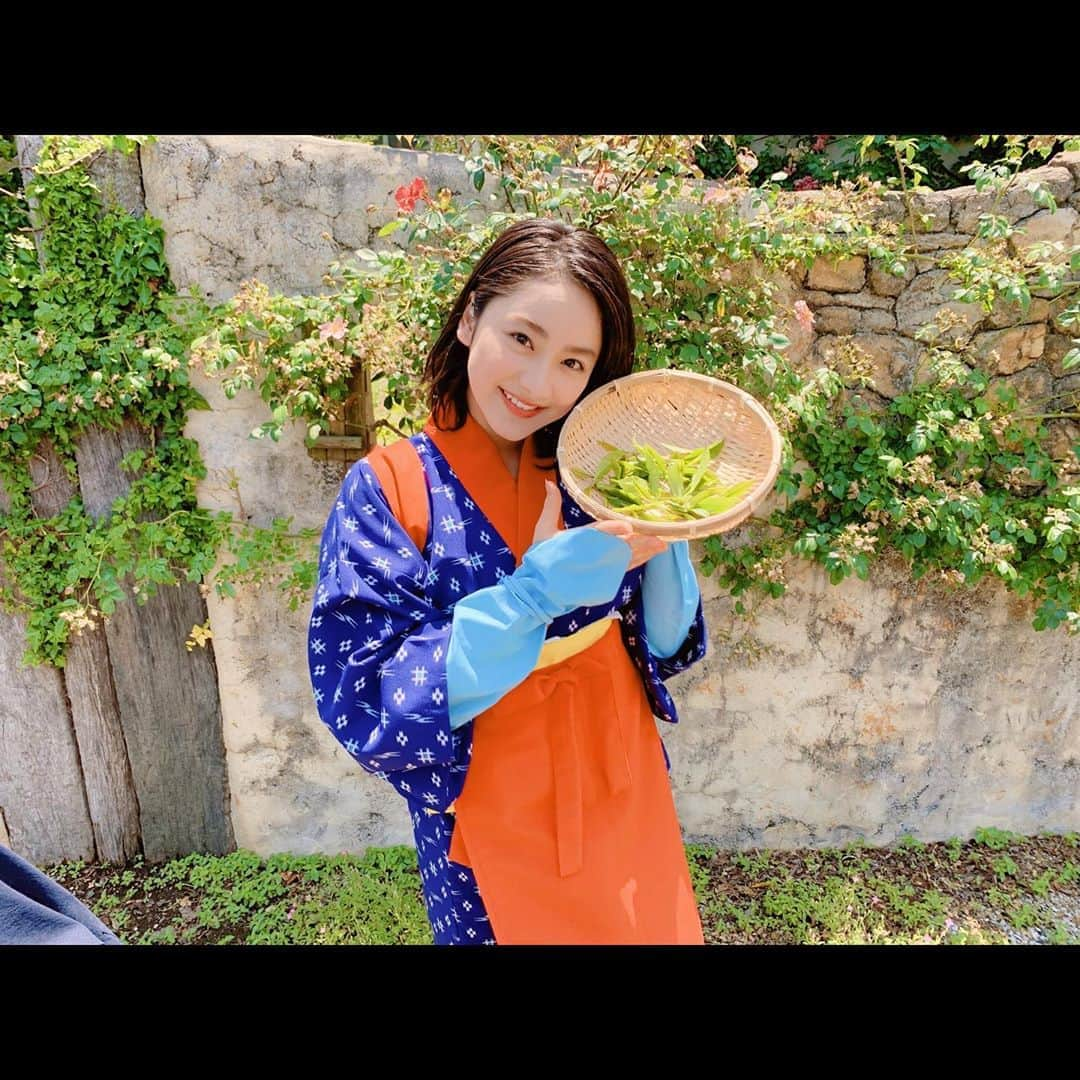 平祐奈さんのインスタグラム写真 - (平祐奈Instagram)「🍵🌱🍵🌱🍵 お茶摘み&ラテアートをやってみたいら‼︎ 和心な体験をさせて頂きました☺️ 日本の文化は美しい🇯🇵✨ オフィシャルサイトからみてね。 アンケートもぜひ！☺︎ イベントがあるかも…？🤭 #宮野園 のみなさんありがとうございました🙇‍♂️ #ファンクラブ #チャレンジyunatube #yunafamilyclub #テレビジョン」7月17日 16時18分 - yunataira_official