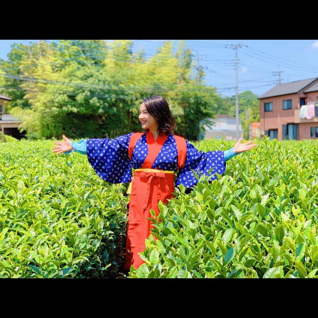 平祐奈さんのインスタグラム写真 - (平祐奈Instagram)「🍵🌱🍵🌱🍵 お茶摘み&ラテアートをやってみたいら‼︎ 和心な体験をさせて頂きました☺️ 日本の文化は美しい🇯🇵✨ オフィシャルサイトからみてね。 アンケートもぜひ！☺︎ イベントがあるかも…？🤭 #宮野園 のみなさんありがとうございました🙇‍♂️ #ファンクラブ #チャレンジyunatube #yunafamilyclub #テレビジョン」7月17日 16時18分 - yunataira_official