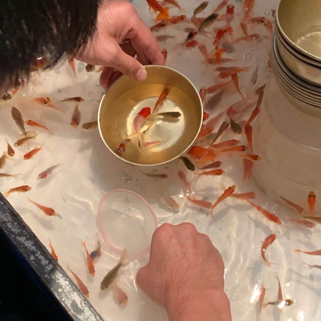 澤野井香里さんのインスタグラム写真 - (澤野井香里Instagram)「#京都の夏 と言えば#祇園祭 ✨﻿﻿ ﻿﻿ 昨日は家族で行ってきました╰(*´︶`*)╯♡ ﻿﻿ ﻿﻿ 迫力満点の大きな#鉾 に#コンチキチン の音が鳴り響いてすごい人‼️ ﻿﻿ ﻿ 前に幼稚園のお祭りでとった金魚を飼い出したので、今回もパパに『金魚欲しい〜＾＾』とおねだりすると、周りの子供より必死になって粘り強く頑張るパパ👱🏻‍♂️😂 ﻿ ﻿ 最後は円屋の焼鳥で〆＾＾ ﻿ ﻿ ベビーカーもないし小さな子供2人連れてはなかなか大変だけど、屋台で食べ歩きしたり、娘も初めてお祭りに連れてきてあげられて子供達の笑顔が見れて楽しかった✨ ﻿﻿ ﻿﻿ #ks_kyoto✨ #ks_19✨ #西谷鉾 #月鉾 #京都ママ #関西ママ #男の子ママ #女の子ママ #ママライフ #ママリ #コドモノ #ベビフル #赤ちゃんのいる生活 #S⭐️_ #M🍒_  #S⭐️M🍒」7月17日 16時21分 - kaori_sawanoi