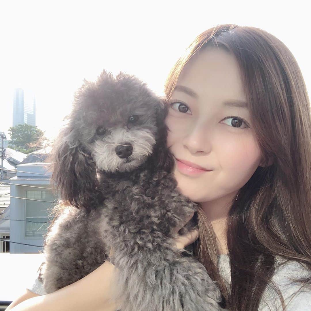 山下莉奈さんのインスタグラム写真 - (山下莉奈Instagram)「久々に晴れた〜🥰✨ お犬様と順番に日向ぼっこ🌞 🧡🧡🧡🧡 #山下ポーちゃん #ぼくは鼓太郎 @poulin425 #トイプードル」7月17日 16時24分 - rinayamashita