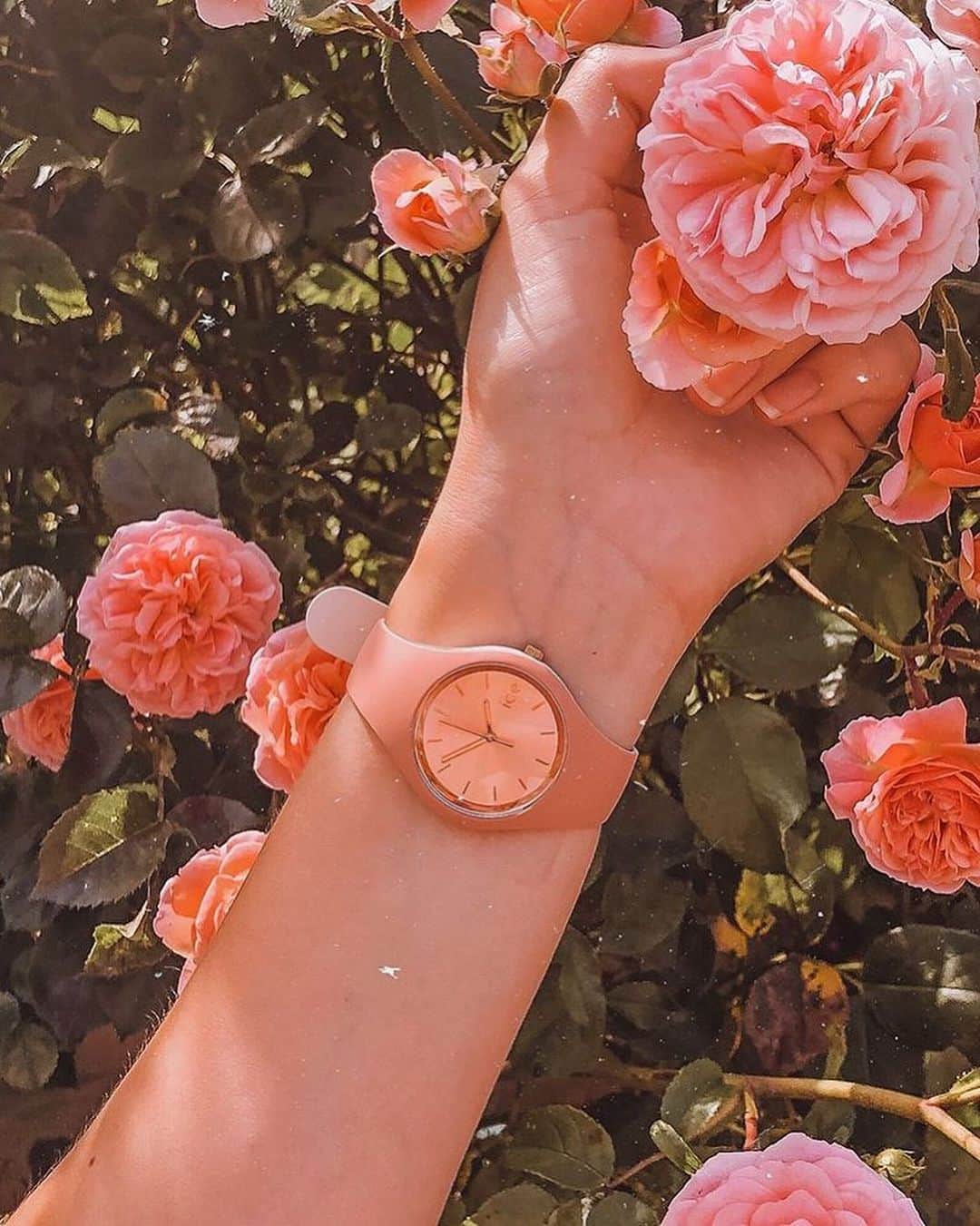 アイスウォッチさんのインスタグラム写真 - (アイスウォッチInstagram)「The earth laughs in flowers 🌸 (📸 @merelgebe) #icewatch #changeyoucan #beduobechic #flowers #summer #love #pink #girl #watch」7月17日 16時26分 - icewatch
