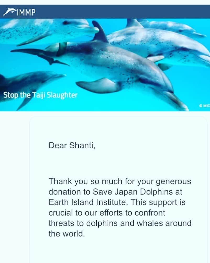 SHANTIさんのインスタグラム写真 - (SHANTIInstagram)「http://www.savedolphins.eii.org/ I have donated 20% of proceeds of the ocean inspired art to this organization to help in the dolphin massacre that is still on going in Wakayama Taiji. The tradition is outdated and the dolphins suffer a slow painful death. Any of the original ocean inspired pieces you purchase from me will continue to be charity pieces. Thank you for your love and consideration to give back to our loving oceans and it’s species.  先日海の日に開催されたライブとアート展示。販売したアートの収益の20%をこの団体に寄付しました。日本は和歌山県太地市で今も行われているイルカ涼。イルカ達はゆっくり苦しんで死んでゆきます。時代にはもう合っていない伝統そしてイルカの肉に含まれる水銀の量、動物の多様性を最優先に守る事を考える時代です。私達を愛し育んでくれている海やその生き物達にも愛を。 これからもオーシャン・アート作品をご購入の際には寄付を続けます。是非ご検討下さい。アートはインスタ内に写真があります。またきになる作品に関してもっと知りたい方はDMして下さい。  #イルカ #イルカを守る活動をしています  #dolphins #savedolphins #oceanart #zushisurfers」7月17日 17時47分 - shantimusic