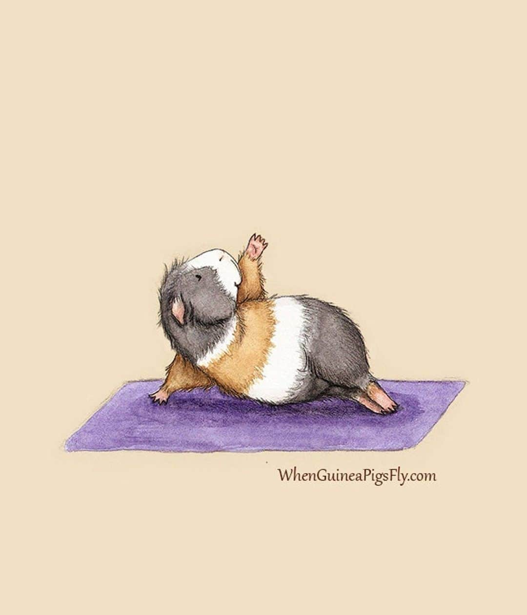 9GAGさんのインスタグラム写真 - (9GAGInstagram)「Yoga class with guinea pigs By @whenguineapigsfly - #guineapig #yoga #9gag @doodles」7月17日 17時45分 - 9gag