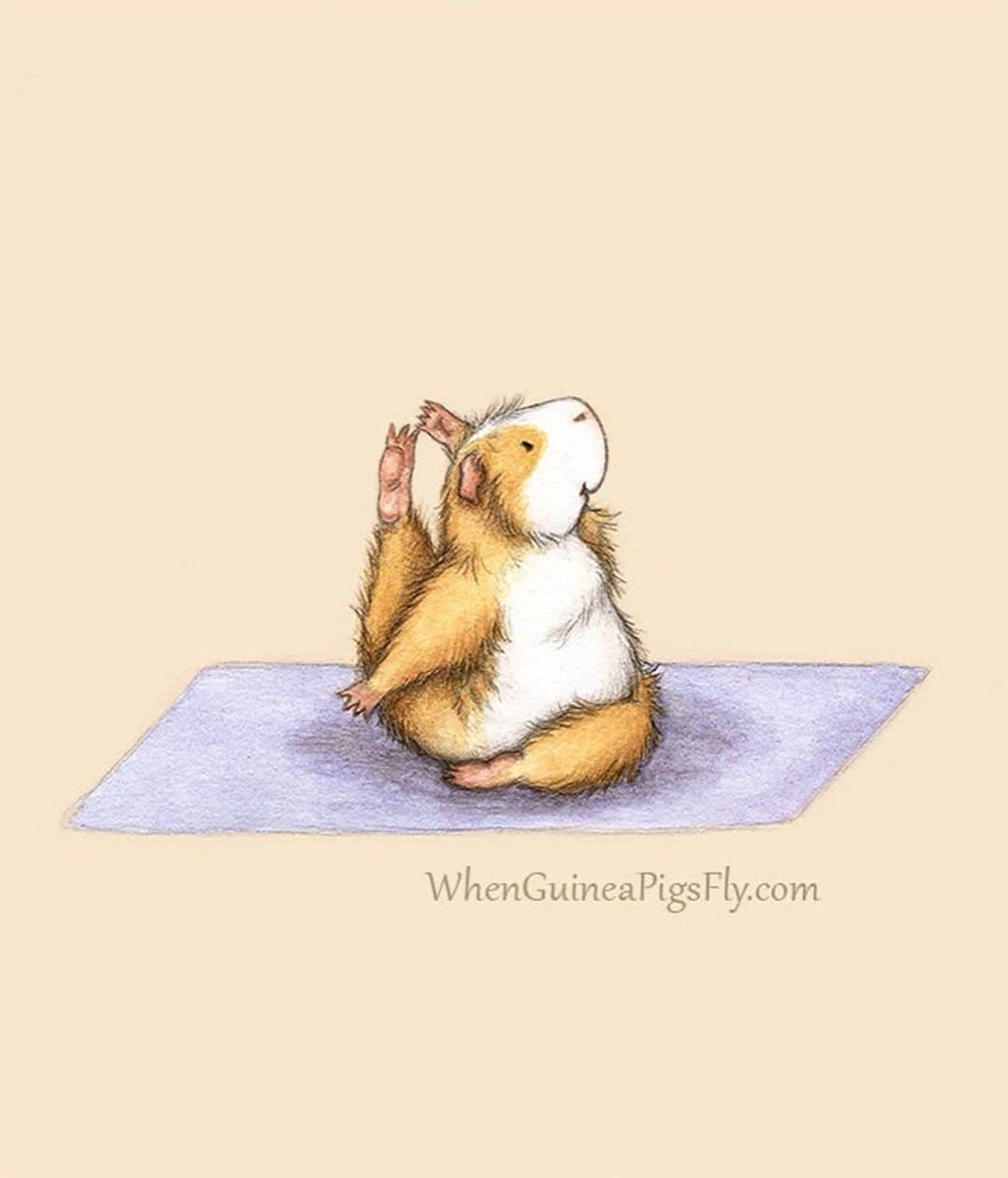 9GAGさんのインスタグラム写真 - (9GAGInstagram)「Yoga class with guinea pigs By @whenguineapigsfly - #guineapig #yoga #9gag @doodles」7月17日 17時45分 - 9gag