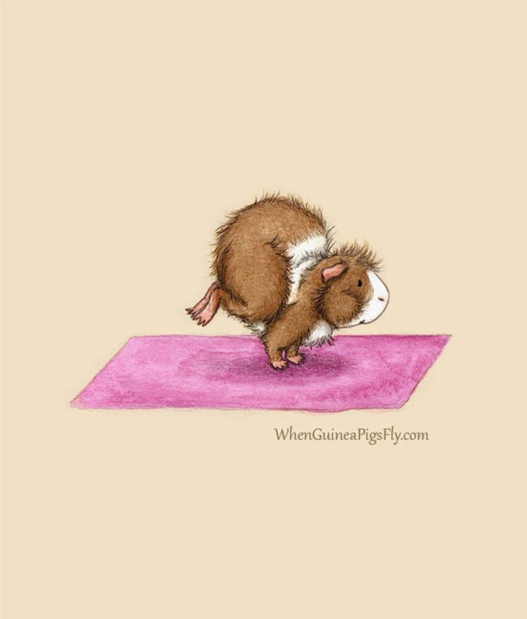 9GAGさんのインスタグラム写真 - (9GAGInstagram)「Yoga class with guinea pigs By @whenguineapigsfly - #guineapig #yoga #9gag @doodles」7月17日 17時45分 - 9gag