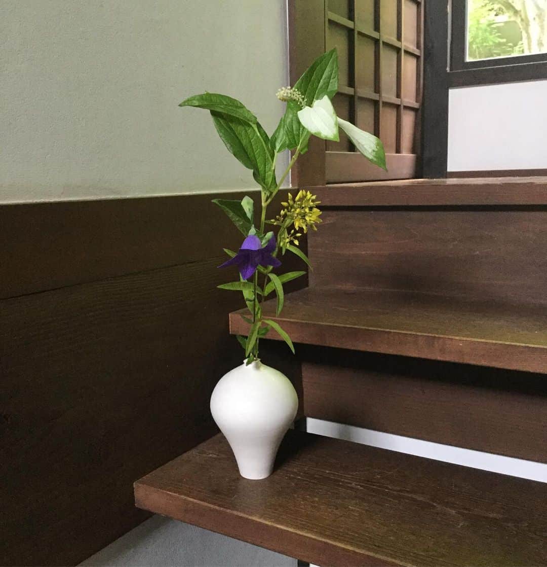 ヒロミチナカノさんのインスタグラム写真 - (ヒロミチナカノInstagram)「黒田泰蔵の白磁の花器に桔梗と草蓮玉と半夏生を入れました。 #flowers ＃flowerinstagram  #TaizoKuroda」7月17日 18時14分 - hiromichinakano_official