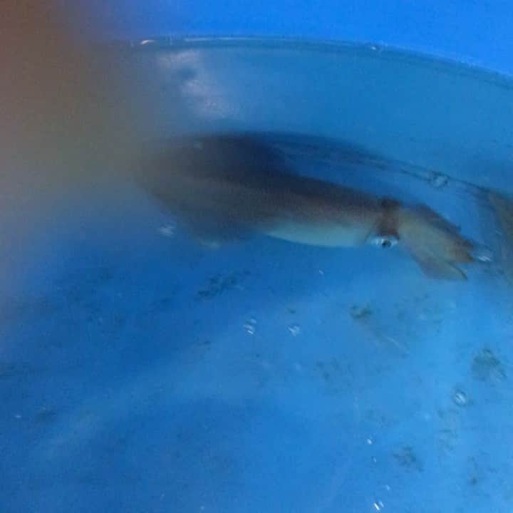 知床漁場 天神橋筋店のグルメインスタ