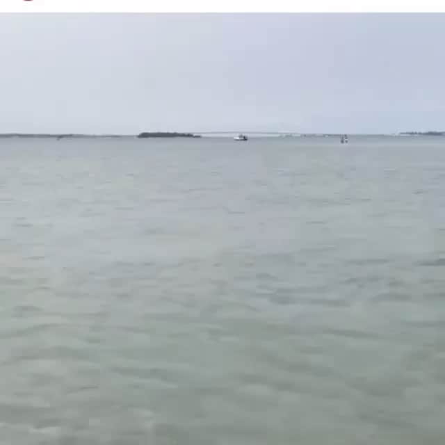 DogsOf Instagramのインスタグラム：「“Shark 🦈 attack!” writes @squishy_thefrenchie  #dogsofinstagram」