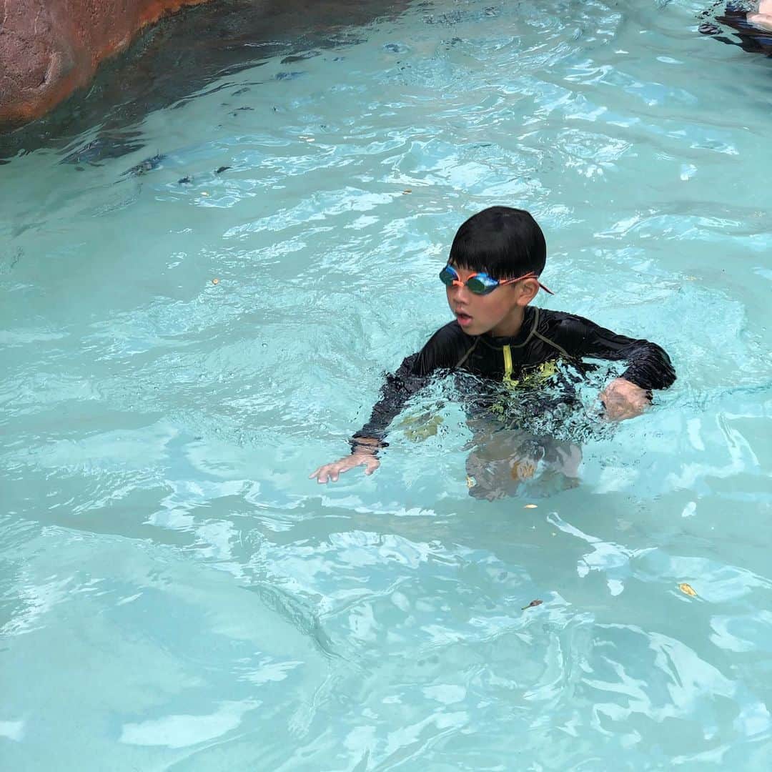 のインスタグラム：「とりあえず pool‼️ pool‼️ pool‼️ な、日々。 よって親子で丸焦げになりそう😂 ま、それも旅の思い出ということに… 何故か持って来たと思っていた美白化粧水見つからずで今日あたり急ぎ調達しないとヤバイ😭  #aulani #disny #summervacation #hawaii #shiba_u」
