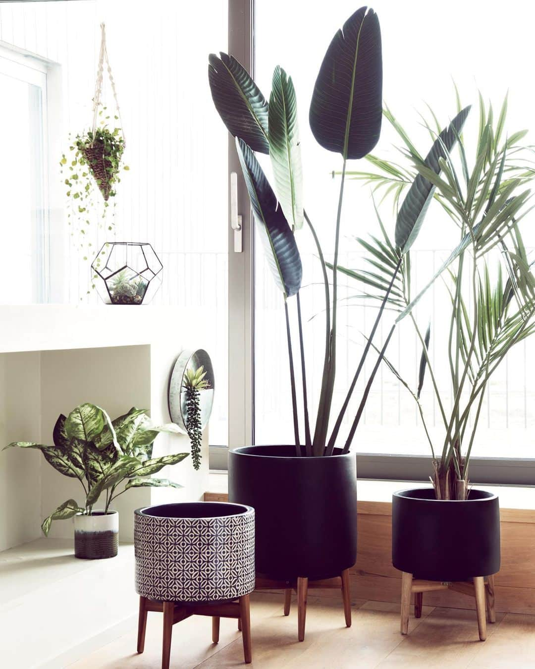 Nextさんのインスタグラム写真 - (NextInstagram)「Go green: our NEW faux plants and pots will freshen up your space with no watering required! 🌿 🔍 Hanging plants: 916867 & 916867 Terrarium: 584314 Plant stands: 607490, 617053 & 604646 Palm tree: 348653. #accessories #homeware #nexthome #homeinterior #homedecor #trend #interior #decor #fauxplants #faux #hangingplant #greenery」7月18日 4時31分 - nextofficial