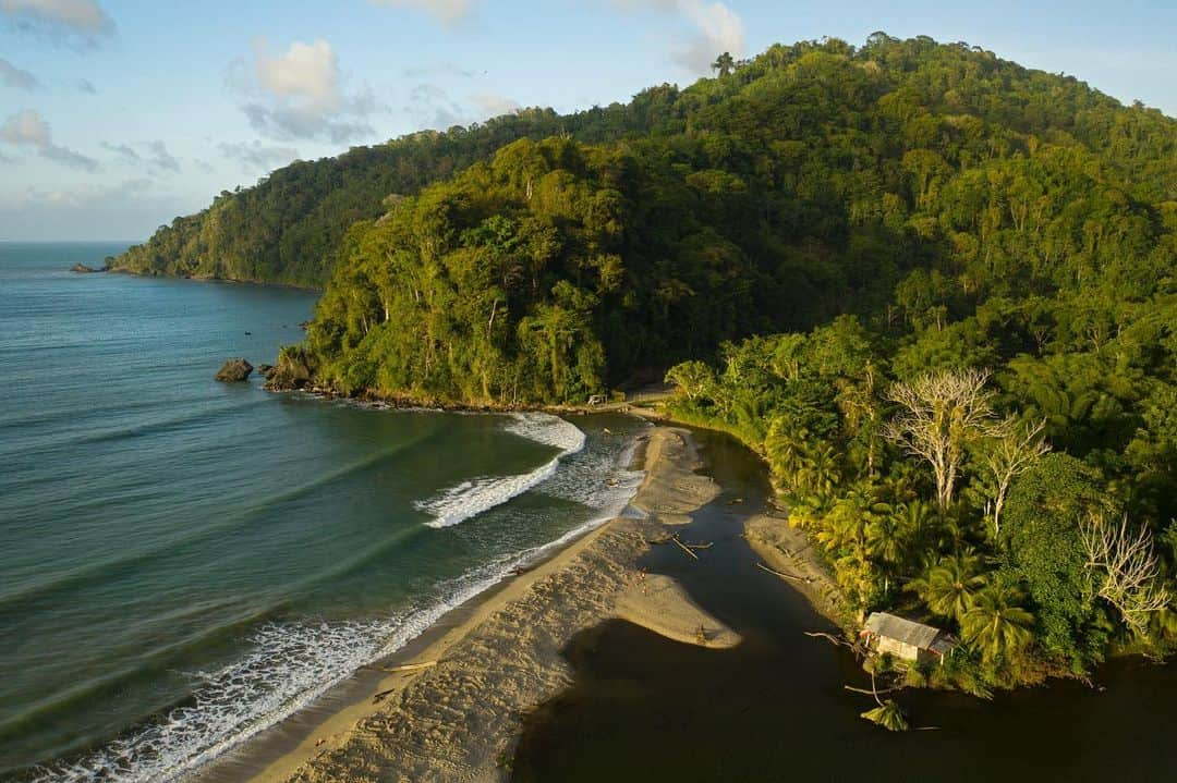 Thomas Peschakさんのインスタグラム写真 - (Thomas PeschakInstagram)「Leatherback Sea Turtle Gallery - Swipe left. Trinidad’s Grande Rivière beach is the highest density nesting beach in the world. During peak season up to 300 of these giants crawl out of the ocean along just half a mile of beach every night. I made the first two photographs (Leatherback with shipwreck and female turtle excavating nest) using only infrared light to avoid disturbing the turtles at night. Shot for @natgeo on a @oceanic.society expedition. Please visit @oceanic.society who are celebrating their 50th anniversary this year and show them some Instagram love.  #os50 #seaturtles #oceanicsociety」7月17日 20時48分 - thomaspeschak