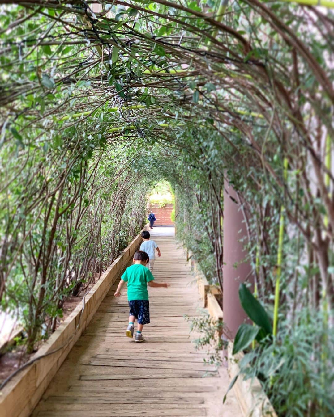 埼玉エステ＊インディバ＊戸田公園＊戸田市＊痩身＊冷え改善さんのインスタグラム写真 - (埼玉エステ＊インディバ＊戸田公園＊戸田市＊痩身＊冷え改善Instagram)「夏の始まりの小トリップ🌈  連休明けですが、2日間サロンをお休みにして、 息子達が0歳の頃から仲良しのお友達と リゾナーレ熱海へ一泊しに 行って来ました。 ・ 高台にありとても良い見晴らし、広々としたお部屋、 森を探検したり充実したキッズプログラム。 子どもと一緒にのびのびとした時間を過ごせました。 ・ ・ 息子は夕食時に初めてのコックさん体験👨‍🍳 お姉さんのお話をきちんと聞いて 立派にケーキを完成させる姿に 成長を感じじ〜んとしました。 ・ ・ 今年の7月はずっとどんより空だったので、久々に晴れた空と海を見れて「やっと夏がきたー！！」という感じた今日🌞 ・ ・ 夏は、私は一年の中で一番好きな季節です。 ・ ・ きっとそれも、熱と水分の循環がしっかりでき気持ちよく汗をかける、 【夏を快適に過ごす体】を作れている、というのも理由の一つだと思います。 ・ ・ 夏を元気に楽しく過ごせるかどうかは、体調・体質次第。 ・ エアコンでの冷え・暑さによるのぼせ・ 夏バテなどの〝夏の不調〟に負けない体、インディバで作っていきましょう💪 ・ ・ 明日からまた元気にサロンでお客様をお待ちしております😊 ・ ・ ・ *･゜ﾟ･*:.｡..｡.:*･*:.｡. .｡.:*･゜ﾟ･* ・ 【今週のご予約空き状況】 ・ ◆19日(金)14:00〜17:00 . 埼京線 戸田公園  プライベートインディバサロンbell-nu お問い合わせはお気軽に♩ ✳️LINE@ → @bell-nu ・ ✳️mail → bell-nu@ezweb.ne.jp *･゜ﾟ･*:.｡..｡.:**:.｡. .｡.:*･ ・ ・ #エステティシャンの休日 #母子旅行 #ママ友と旅行 #熱海旅行 #星野リゾート #リゾナーレ熱海  #3歳10ヶ月 #男の子ママ #ワーキングマザー  #夏を元気に #夏バテ予防 #暑さに負けない #夏に向けてダイエット #インディバ #ボディメイク #戸田市 #戸田市エステ #戸田公園 #戸田公園エステ #インディバサロン  #ベルーヌ  #冷え改善 #体質改善 #痩身が得意  #パーソナルカラー診断 #エステとカラーでトータルプロデュース」7月17日 20時57分 - bell_nu.toda