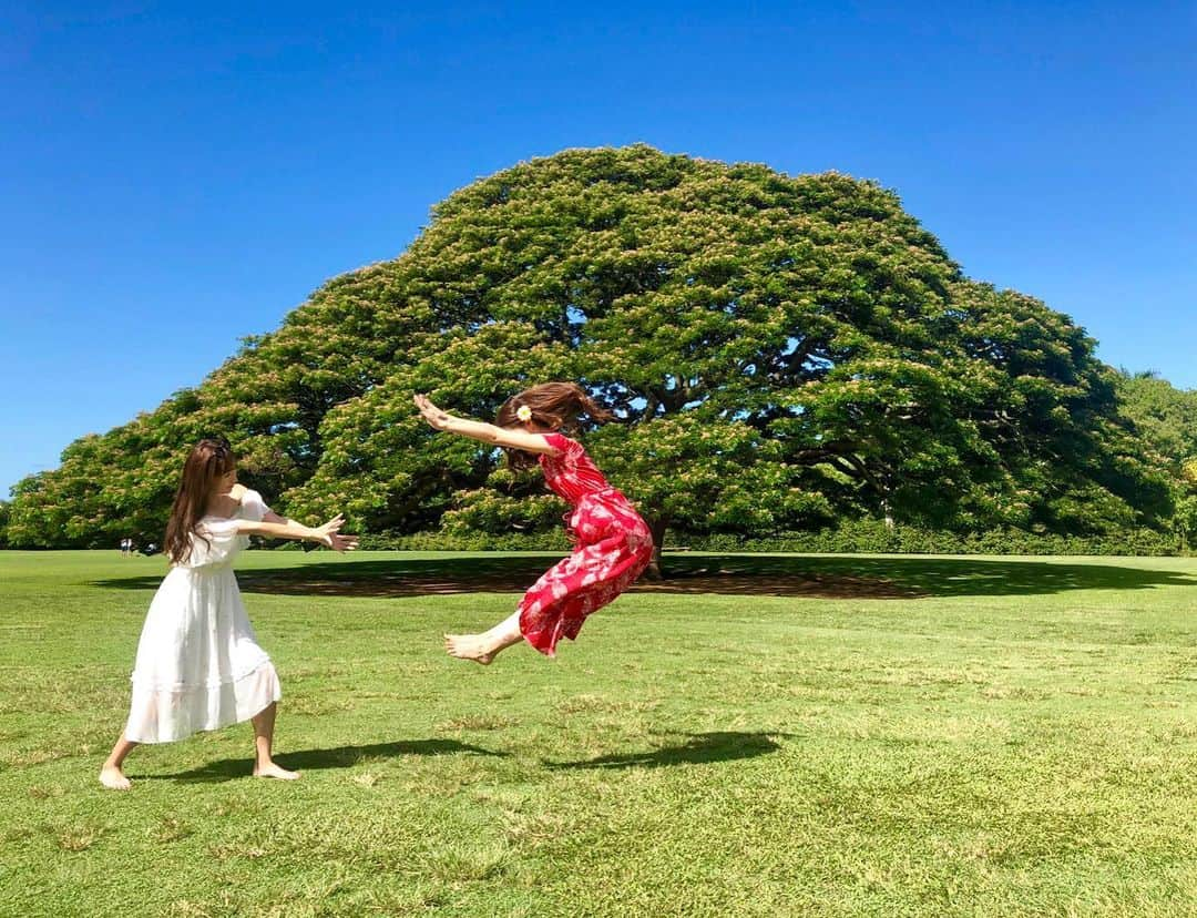 美波千夏さんのインスタグラム写真 - (美波千夏Instagram)「＼＼かーめーはーめー波ーーー！／／ . #ずっとやってみたかった #嬉しい 🥺 #まさかハワイで実現するとは #カメラお願いするの少し恥ずかしかった #いやほんとはだいぶ恥ずかしかった  #今こうしてみると #弱そう #微弱電波出てる #明日も頑張ろう . . . . . . 🌎📍ハワイ モアナルアガーデンズパーク ✈︎=====================================☆ #hawaii #ハワイ  #モアナルアガーデンズパーク #MoanaluaGardens #かめはめ波#ドラゴンボール☆=====================================✈︎」7月17日 21時01分 - chinatsu_minami