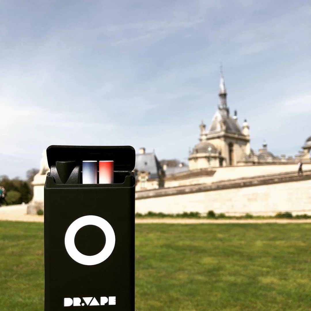 DR.VAPEさんのインスタグラム写真 - (DR.VAPEInstagram)「世界を旅するDR.VAPE  今日はシャンティイ城の庭園をお散歩🍀 * * #DRVAPE#VAPE#ChâteaudeChantilly#Chantilly#France#castle#Europe#travelgram#traveltotheworld#instagood#travel#bookstore#ドクターベープ#べイプ#シャンティイ城#フランス#城#ルネサンス#思い出#旅行#タビジョ#世界旅行#健康#旅好きな人と繋がりたい#禁煙#禁煙グッズ#タバコ#禁煙したい#旅好き#ヨーロッパ旅行」7月17日 21時09分 - dr.vape_official