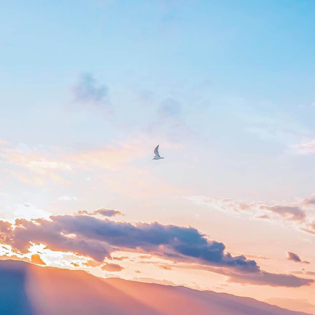 国分真央さんのインスタグラム写真 - (国分真央Instagram)「. この時期の夕焼け色は あの日を思い出す。」7月17日 21時34分 - mao_kokubu