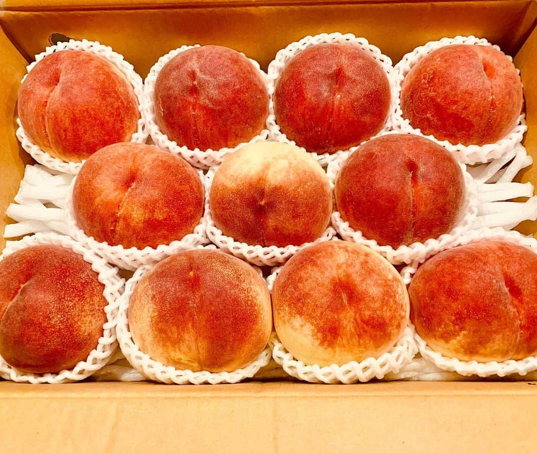 斎藤ノブのインスタグラム：「#桃 #美味しそう #頂きました」