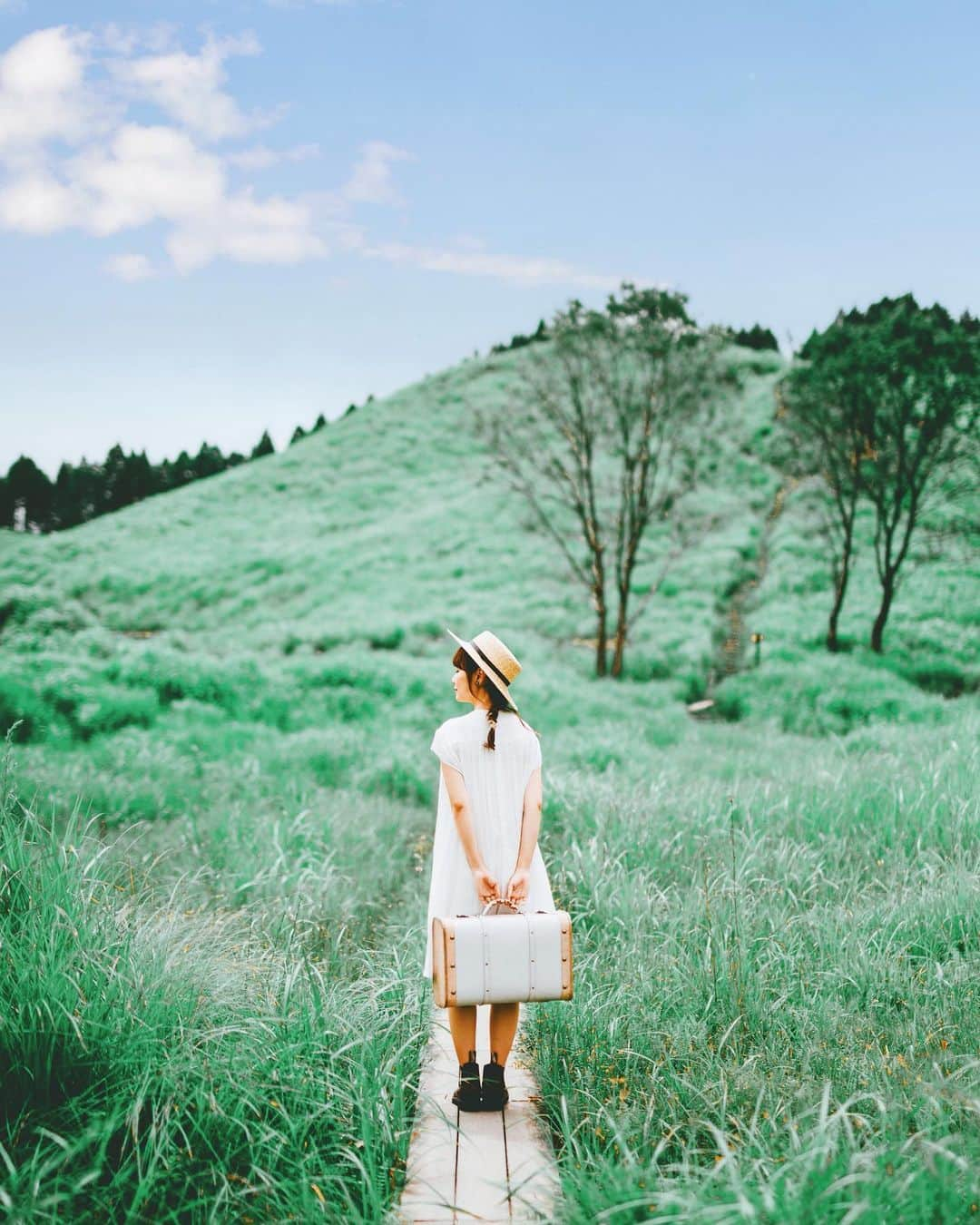 shinichi38さんのインスタグラム写真 - (shinichi38Instagram)「﻿ Summer Journey 👒🧳﻿ ﻿  Location 砥峰高原 2019/07/15 #グッとくるひょうご」7月17日 21時45分 - shinichillout54