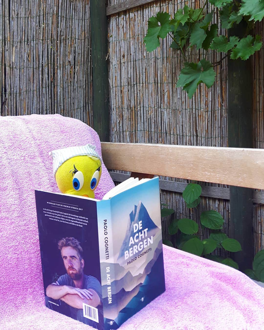 Little Yellow Birdさんのインスタグラム写真 - (Little Yellow BirdInstagram)「Yesterday I was under a lot of pressure😉, so today is all about relaxing, having a good read and a sunbath! Happy humpday everyone! #littleyellowbird #tweety #tweetykweelapis #adventures #yellow #bird #wednesday #humpday #relaxing #reading #goodread #sun #sunny #sunnyday #sunbathing #paolocognetti #deachtbergen #novel #literature #summer #july #stuffedanimalsofinstagram #plushiesofinstagram」7月17日 22時17分 - tweetykweelapis