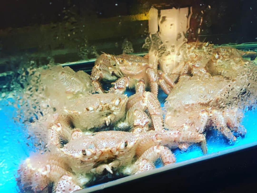 Shinnosukeさんのインスタグラム写真 - (ShinnosukeInstagram)「こないだ食べて美味しかった蟹🦀蟹🦀蟹🦀蟹🦀達。お疲れ様でした。  #蟹 #かに道楽 #delicious」7月17日 22時13分 - shinscapade