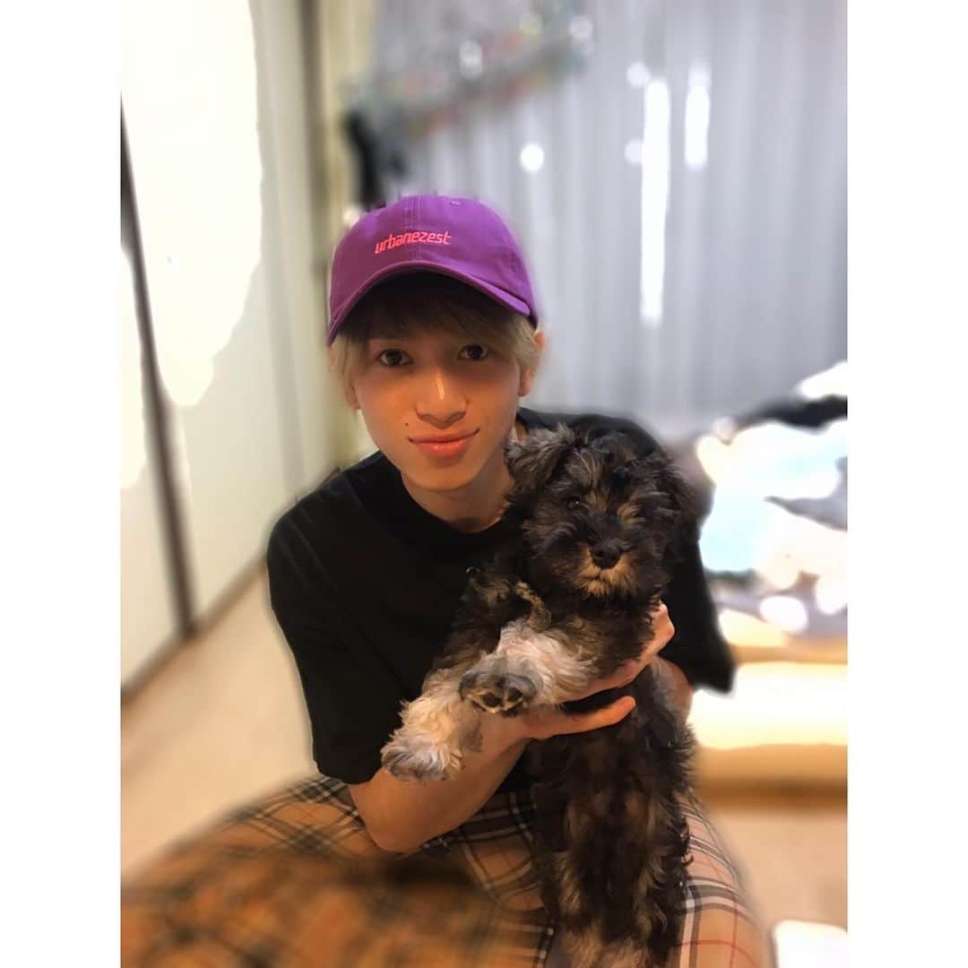 岡田鷹斗のインスタグラム：「我が家に新しいわんちゃん🐶 がやってきました☆ 名前は「マルちゃん」 平成産まれ4/29日産まれ！ 誕生日がまさかの僕と半年違い☆ やんちゃなところはももちゃんにそっくりで、めちゃくちゃ可愛いかったです♪ ももちゃんもやっぱり可愛いわ☆ これからの成長もとても楽しみです♪  #新しいわんちゃん #犬 #わんちゃん #ペット #みにちゅわしゅなうざー  #マルちゃん #ももちゃん #家族 #マルスタグラム」