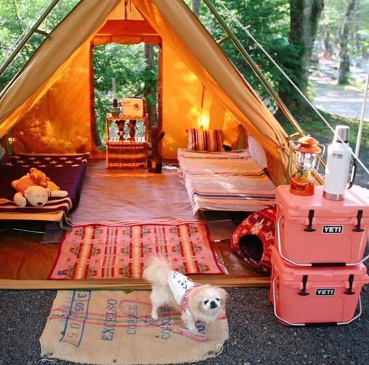 hinata_outdoorさんのインスタグラム写真 - (hinata_outdoorInstagram)「@mukitomo さんのpic✨⠀ ⠀ ピンクのYETIがとっても目立つ👀⠀ 印象的な華やかなテントサイト🏕✨⠀ わんちゃん🐶も非日常を楽しんでますね🥰⠀ ⠀ ⠀⠀⠀ 〜ワクワクしちゃう🤩🙌このテントがき気になる➿👀🎶ただならぬ、雰囲気をかもしだしてちるテントを要チェックです🕵🏻‍♂️💡〜⠀⠀ ⠀⠀ あらあら、素敵なテントを発見😍👏💯とっても独特な雰囲気に目を奪われちゃう🥰💨そんな、個性的で素敵なキャンプサイトをご紹介します🗻🏕🗻🌜⠀ ⠀ ⠀⠀⠀ 🌳🌲🌼🌳🌲🌲🌳🌲🌳🌲🌻🌳🌳⠀⠀ #hinataoutdoor を付けて⠀⠀ アウトドア風景を投稿してください😊⠀⠀ 🌳🌲🌳🌲🌻🌲🌳🌲🌳🌼🌲🌳🌳 ⠀ ⠀⠀⠀ 素敵なお写真はリポストさせて頂きます✨ ⠀ ⠀⠀⠀ 🚙キャンプや山登りのアウトドア情報はプロフィールのURLから ➡ @hinata_outdoor ⠀ ⠀ ⠀ ⠀⠀⠀ 🍖美味しそうなキャンプ料理の写真は➡️⠀⠀ @hinata_gohan⠀⠀ *⠀⠀ *⠀⠀ #キャンプ #アウトドア #アウトドアギア #タープ #tarp #広々リビング #タープの張り方 #夏キャンプ #ダークカラーテント#通気 #おしゃれキャンプ #絶景キャンプ #campgear #outdoorgear #camp #campliving #outdoor #campstyle #camping #campinglife #camplife #outdoorstyle #outdoors #outdoorliving #outdoorlife #hinataoutdoor #フォローミー #followme」7月17日 22時45分 - hinata_outdoor