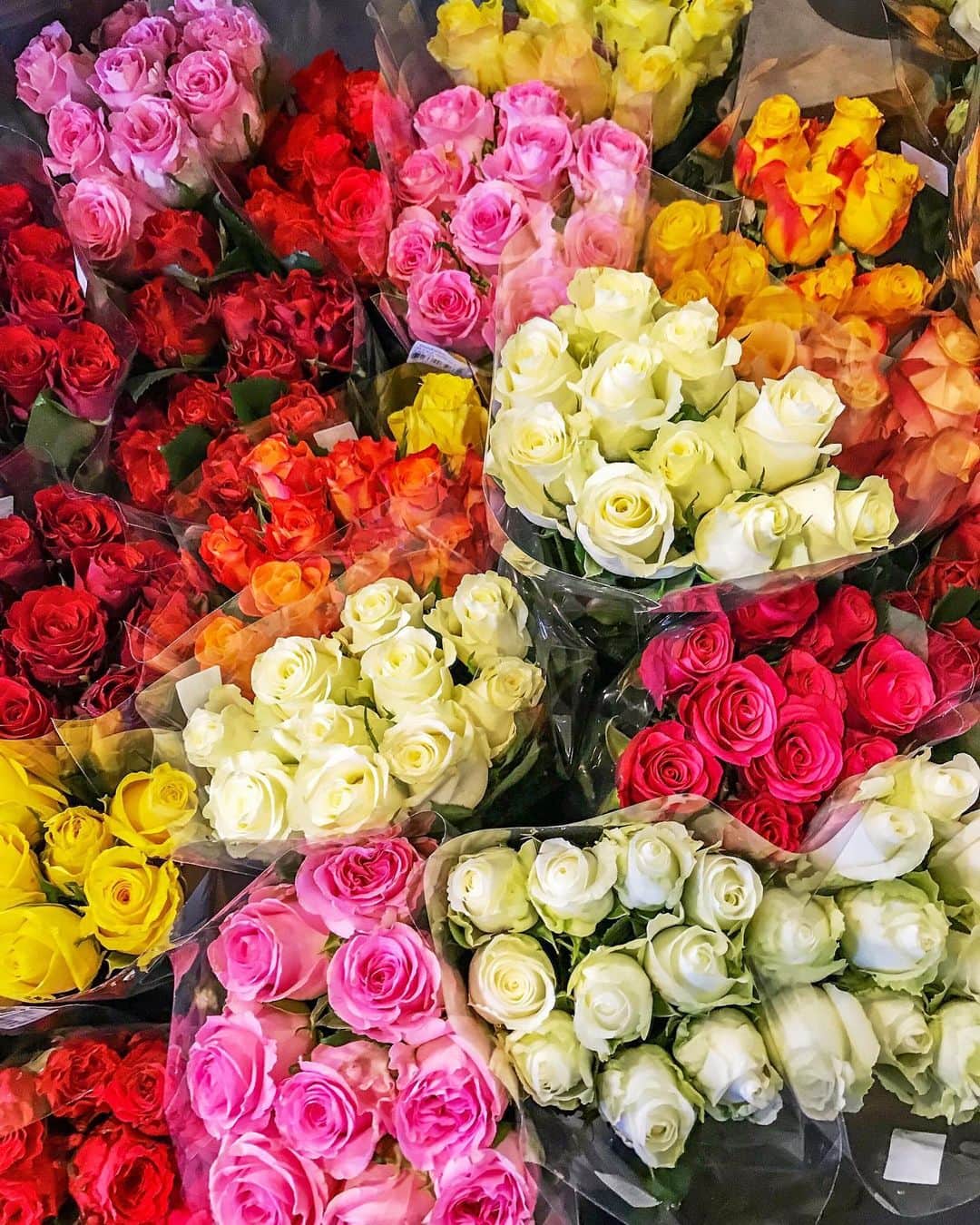 Anniさんのインスタグラム写真 - (AnniInstagram)「What makes me really really happy ❤️🥰💐 #happytime #flowercorner #roses ——————————————————————————— • • • • •  #blogger #fashionblogger #inspiration  #fashionblogger_de #americanstyle #blogger #inspo #girl #flowercorner #flowerstagram  #flowers #pflanzenmauk」7月17日 23時01分 - annaleacosta