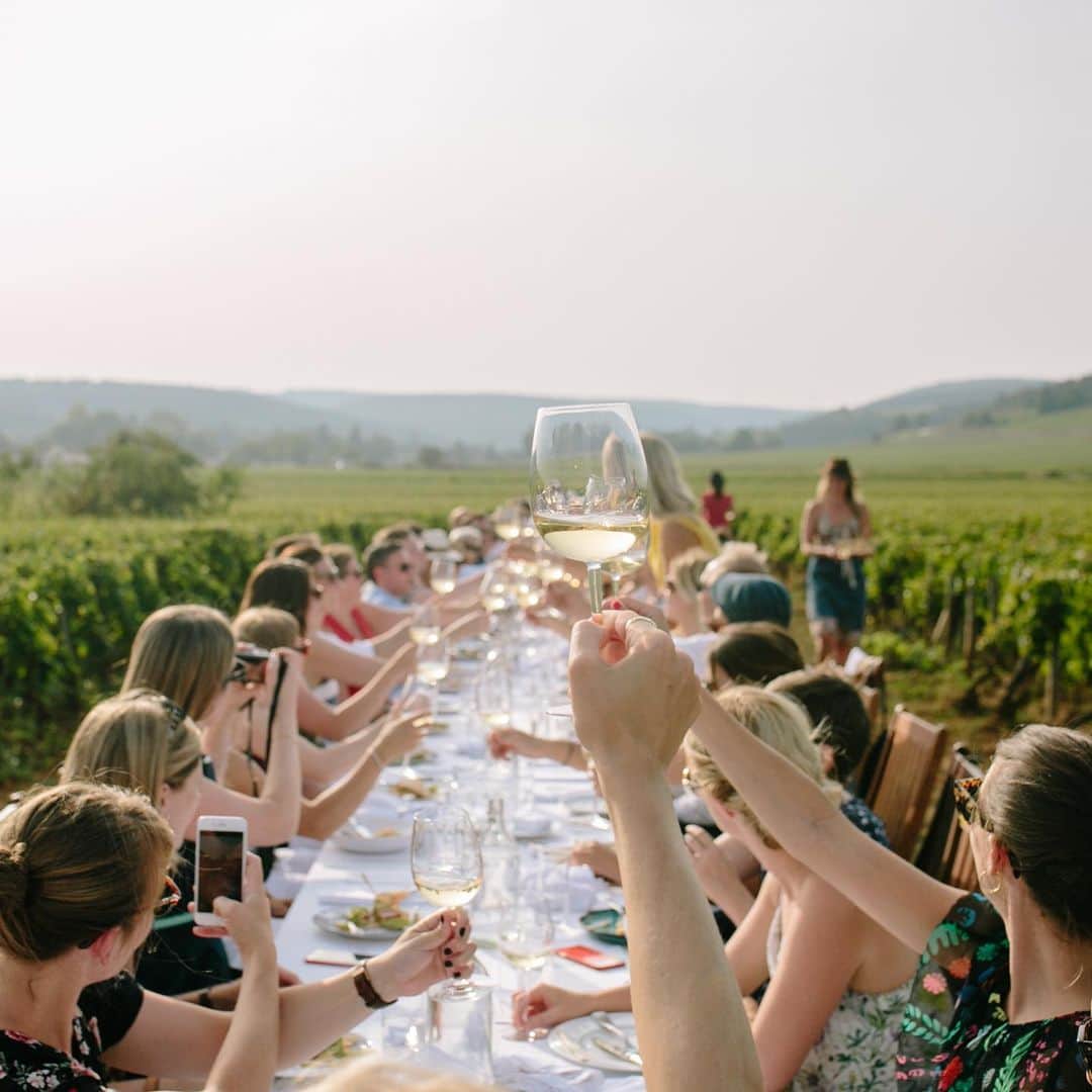 Saks Fifth Avenueのインスタグラム：「No shortage of extraordinary farmland and breathtaking beaches, the Hamptons is the ultimate summer destination. This August, we set our long table at a stunning, secret location in partnership with @out_inthefield to share the most fundamental and universal conversation: a meal. An unforgettable dining experience awaits and we are thrilled to have you join us. Purchase tickets now via link in bio.  Proceeds from ticket sales will be donated to charities in support of local farming and culinary initiatives.」