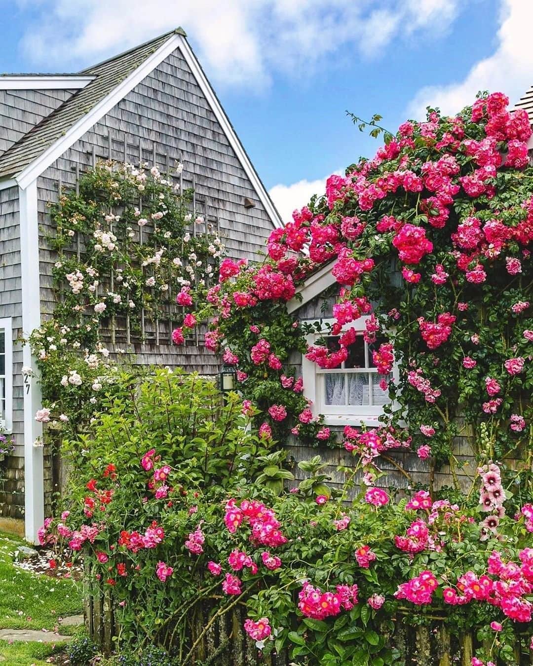 Travel + Leisureさんのインスタグラム写真 - (Travel + LeisureInstagram)「Nantucket is a summer paradise — particularly for families. Read all about the must-see and do items on this charming island at our link in bio! #tlpicks courtesy of @heythereney」7月17日 23時45分 - travelandleisure
