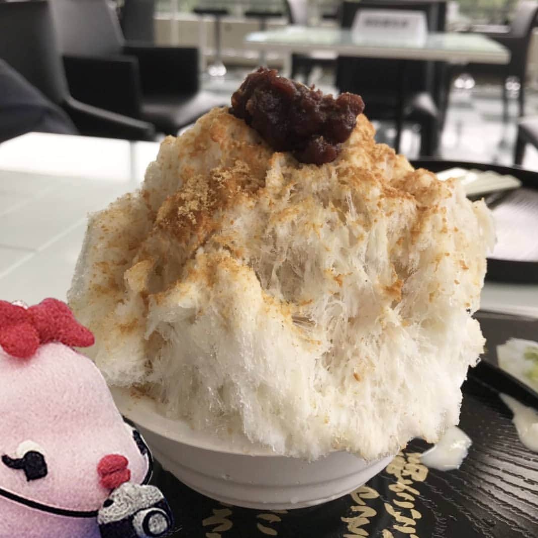 南日本新聞フェリアのインスタグラム