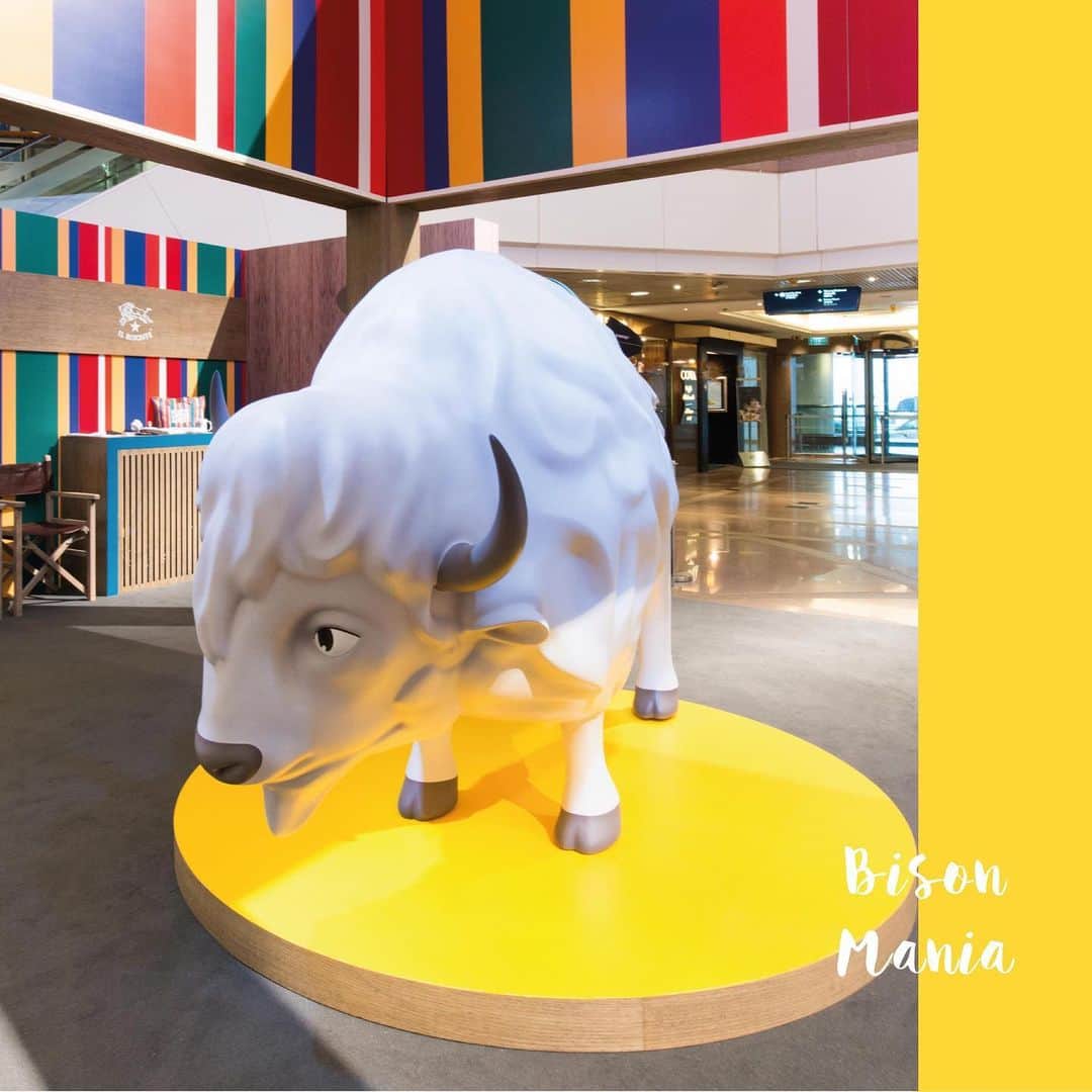 イルビゾンテのインスタグラム：「Why did Wanny choose such an unusual brand name? Because he is in love with bisons, as they represent both peace and strength. ☆ #ILBISONTE」