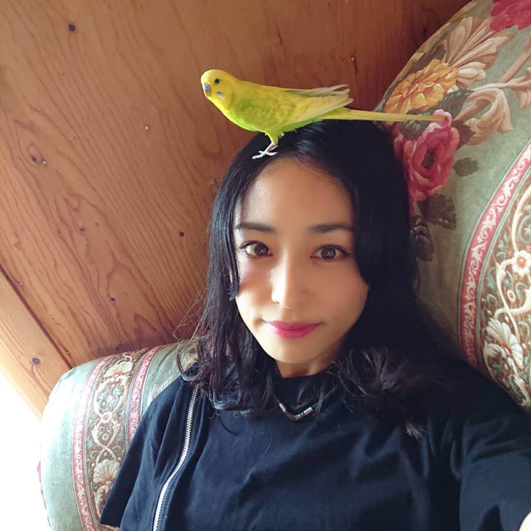 Yukiさんのインスタグラム写真 - (YukiInstagram)「🦜♥️🥰 #D_Drive #yuki #budgerigar #セキセイインコ」7月18日 0時51分 - d_drive_gt_yuki