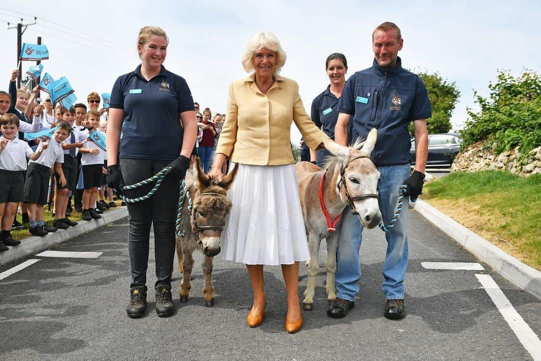 クラレンス邸さんのインスタグラム写真 - (クラレンス邸Instagram)「The Duchess of Cornwall today visited @donkeysanctuarysidmouth to celebrate the 50th anniversary of @donkeysanctuary.  The charity runs 10 sanctuaries around the UK and Europe, giving lifelong care to over 6,000 donkeys and mules.  The visit coincided with Her Royal Highness’s birthday, and as a present The Duchess was invited to name the sanctuary’s new foal! HRH decided on the name Sweetpea, and will receive updates on the little donkey’s progress as she grows up.  Swipe through the album for photos of Sweetpea ⬅️ 📸 PA」7月18日 1時26分 - clarencehouse