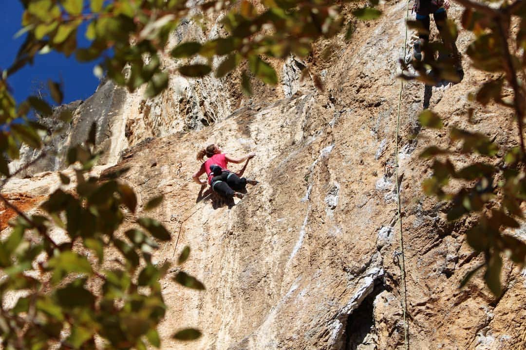 ハンナ・シューベルトのインスタグラム：「Nice Pic by @laurastoeckler during our rock climbing trip in Slovenia at the beginning of the year 😊🧗‍♀️🎉👌」