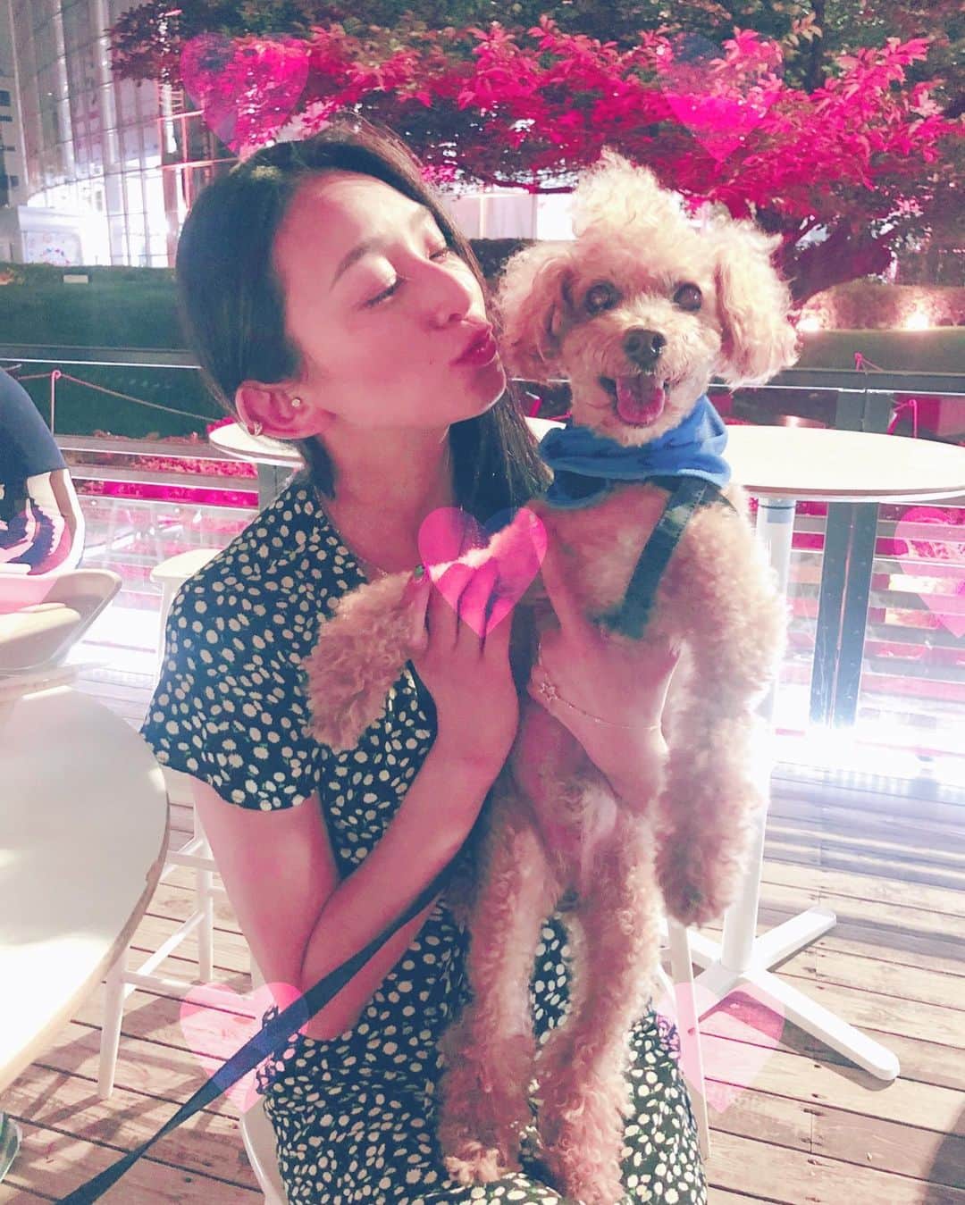 DJ JUICYのインスタグラム：「大大大大好きⓂ️y 🅱️aby...❤ #toypoodle#dog#instadog#toypoodlelove#juicy#juicykun#kiss#love#smile#cute #トイプーライフ」