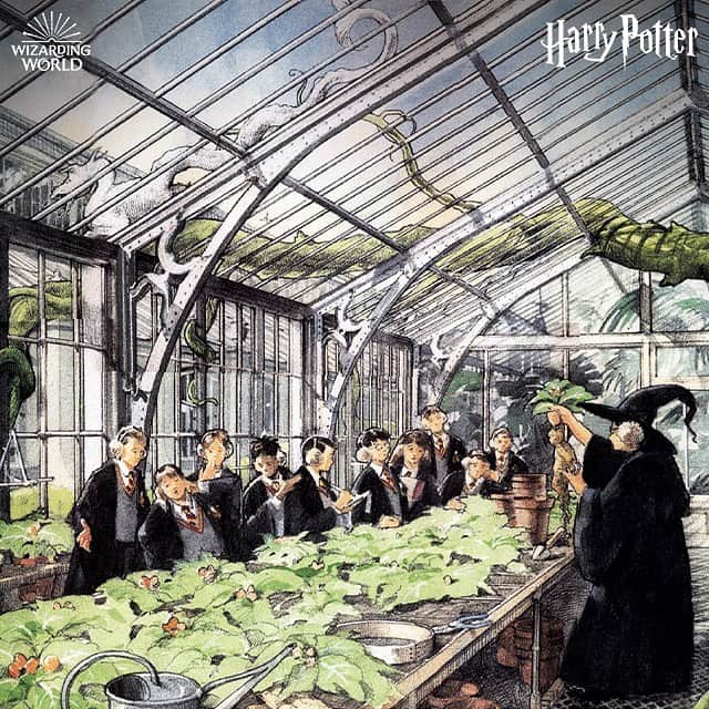 ハリー・ポッターさんのインスタグラム写真 - (ハリー・ポッターInstagram)「Earmuffs aren’t required to view this #conceptart. #BackToHogwarts [📖: The Art of Harry Potter, @harpercollinsus]」7月18日 3時16分 - harrypotter