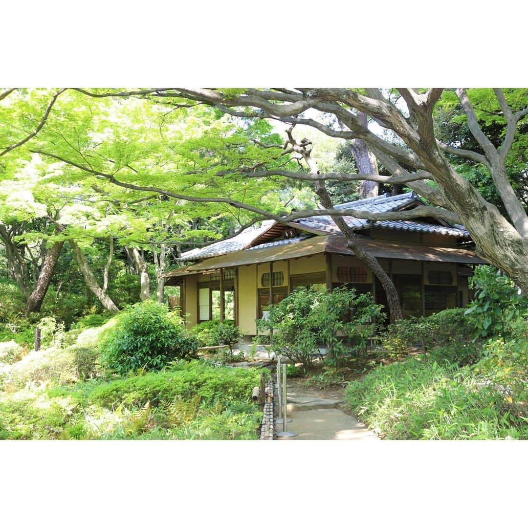 東京都庭園美術館さんのインスタグラム写真 - (東京都庭園美術館Instagram)「【庭園のみ公開中（〜7/19）】 庭園内にある茶室が国の重要文化財に指定されていることをご存じでしょうか。1936年（昭和11年）に上棟し、茶席は小間、広間、立礼席からなるこの茶室も旧朝香宮邸（本館）と同様、貴重な文化財です。 見学は立礼席から入り、広間がご覧になれます。  #東京都庭園美術館 #東京 #庭園 #日本庭園 #茶室 #tokyometropolitanteienartmuseum #teienartmuseum #tokyo #garden #teahouse #TokyoTokyoFESTIVAL」7月18日 13時27分 - teienartmuseum