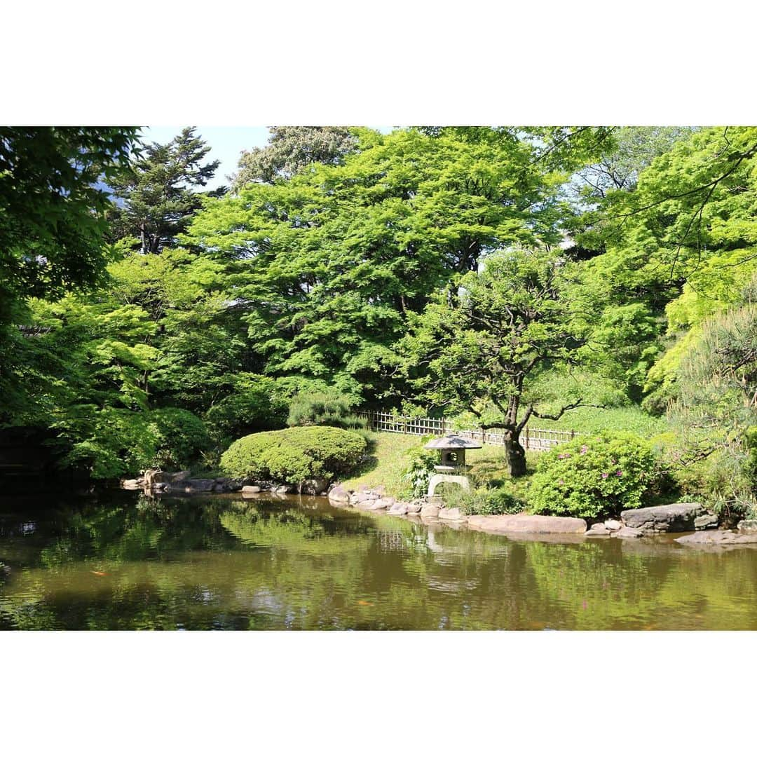 東京都庭園美術館さんのインスタグラム写真 - (東京都庭園美術館Instagram)「【庭園のみ公開中（〜7/19）】 庭園内にある茶室が国の重要文化財に指定されていることをご存じでしょうか。1936年（昭和11年）に上棟し、茶席は小間、広間、立礼席からなるこの茶室も旧朝香宮邸（本館）と同様、貴重な文化財です。 見学は立礼席から入り、広間がご覧になれます。  #東京都庭園美術館 #東京 #庭園 #日本庭園 #茶室 #tokyometropolitanteienartmuseum #teienartmuseum #tokyo #garden #teahouse #TokyoTokyoFESTIVAL」7月18日 13時27分 - teienartmuseum