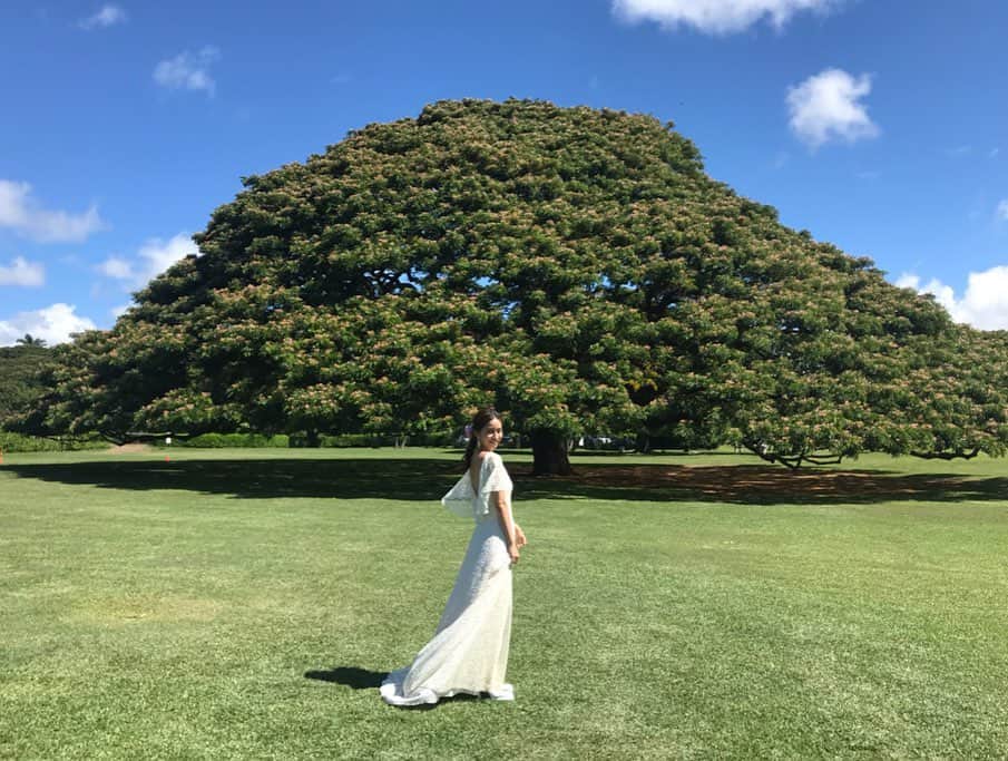 大見謝葉月さんのインスタグラム写真 - (大見謝葉月Instagram)「自然エネルギーもらったぁ🌳 #この木なんの木  #hawaii #wedding」7月18日 13時27分 - h_a_z_k_i