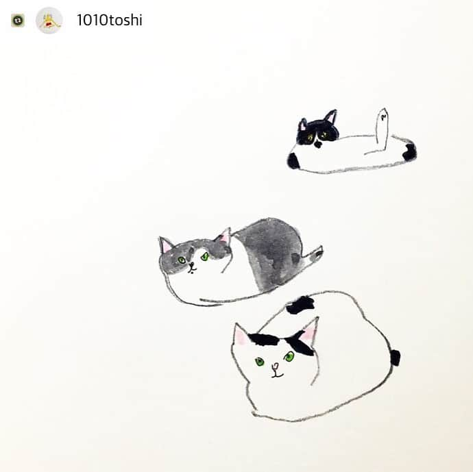 猫ラボさんのインスタグラム写真 - (猫ラボInstagram)「いつもうちの猫らを描いていただいたときは心の中で感謝するタイプなのですが（そしてリプいただいても見逃していることが多いですごめんなさい）、これはリポストせざるを得ない… 大ファンの1010toshiさんより。超うれしい。  #Repost with @Repostlyapp @1010toshi フォーメーション完成(￣(工)￣) @nekolabo さん勝手にモデルにしてすいません」7月18日 14時02分 - nekolabo