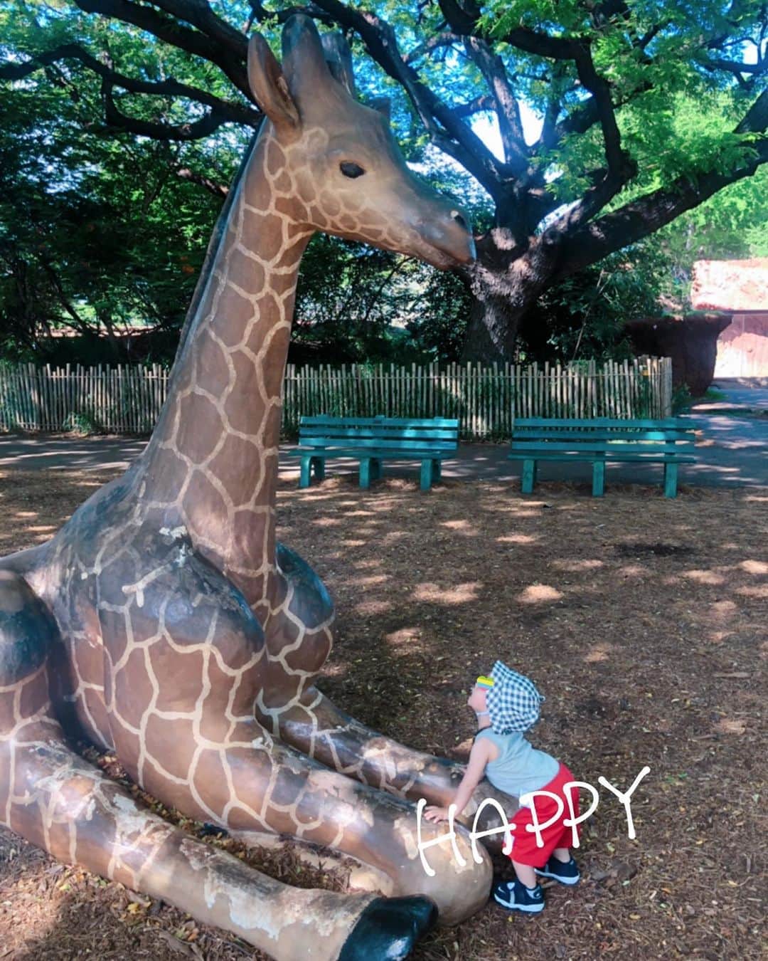 保田圭さんのインスタグラム写真 - (保田圭Instagram)「ホノルル動物園♡せっかく動物園に来たのに息子が気に入ったのはオブジェのキリン。笑」7月18日 14時27分 - keiyasuda1206