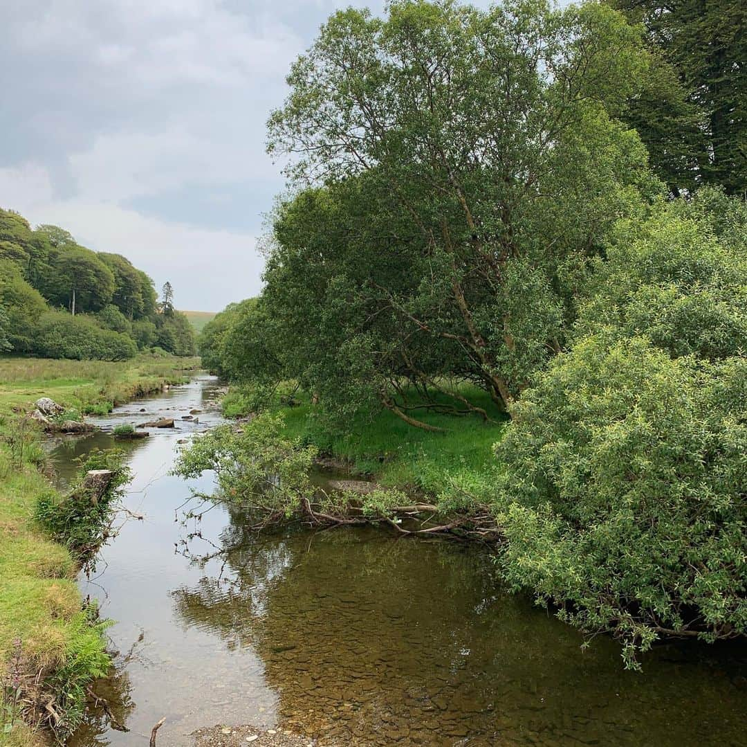 クラレンス邸さんのインスタグラム写真 - (クラレンス邸Instagram)「Three cheers for The Duchess of Cornwall to mark HRH’s birthday during a Big Picnic event in Exmoor National Park today! To end this week’s visit to the South West of England, TRH helped mark 70 years of UK National Parks at a colourful event. The Prince and The Duchess chatted to members of the local community, and met stallholders, food producers and craftspeople. At the end of the visit, TRH were presented with a towering Exmoor-themed cake. 📸 3 & 4: PA」7月18日 5時53分 - clarencehouse