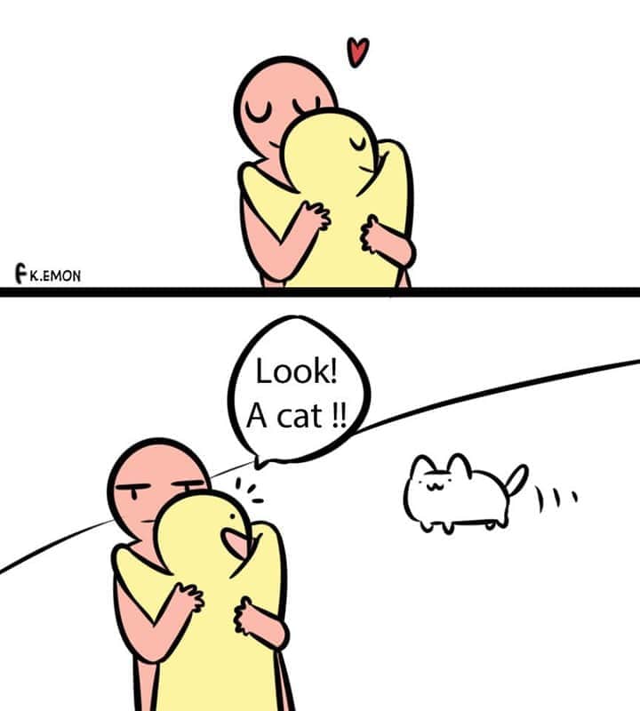 Aww Clubのインスタグラム