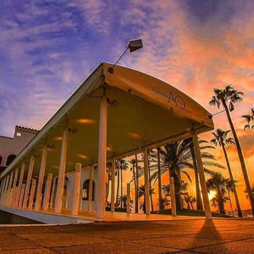 リストランテAO[公式]?イタリアン(青山店/逗子店)のグルメインスタ