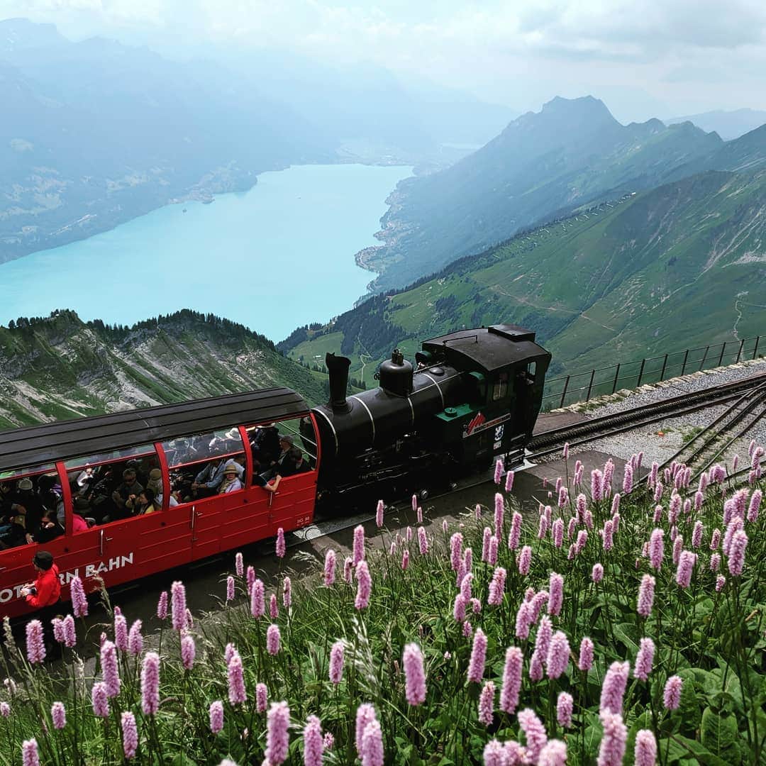 江本悠滋さんのインスタグラム写真 - (江本悠滋Instagram)「#蒸気機関車 #スイス #最高」7月18日 6時48分 - emoto_yuji