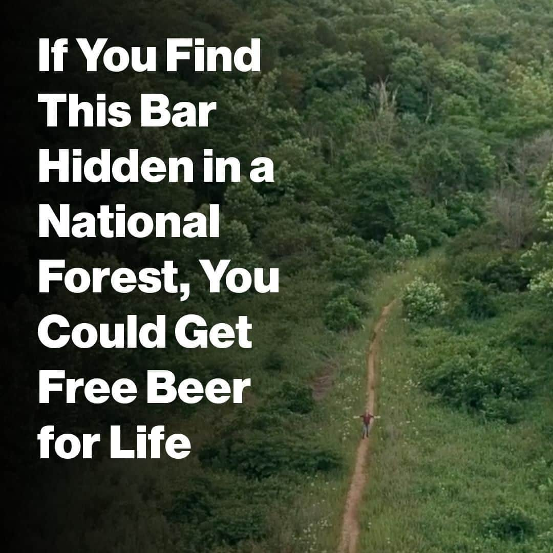 VICEさんのインスタグラム写真 - (VICEInstagram)「🚨 This is not a drill! 🚨  There are 154 national forests in this country, and they cover almost 295,000 square miles, so you should probably pack a lunch before you head out on Saturday. 🌳 🏃‍♂️ 💨 Read more at the link in bio. 📸: screenshot via YouTube」7月18日 8時00分 - vice