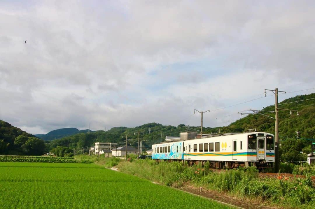 徳永ゆうきさんのインスタグラム写真 - (徳永ゆうきInstagram)「のどかで落ち着く。 #鉄道写真 #撮り鉄 #鉄道好き #肥薩おれんじ鉄道 #HSOR_100型 #新八代行き #気動車 #ワンマンカー」7月18日 8時20分 - tokuchan_1113