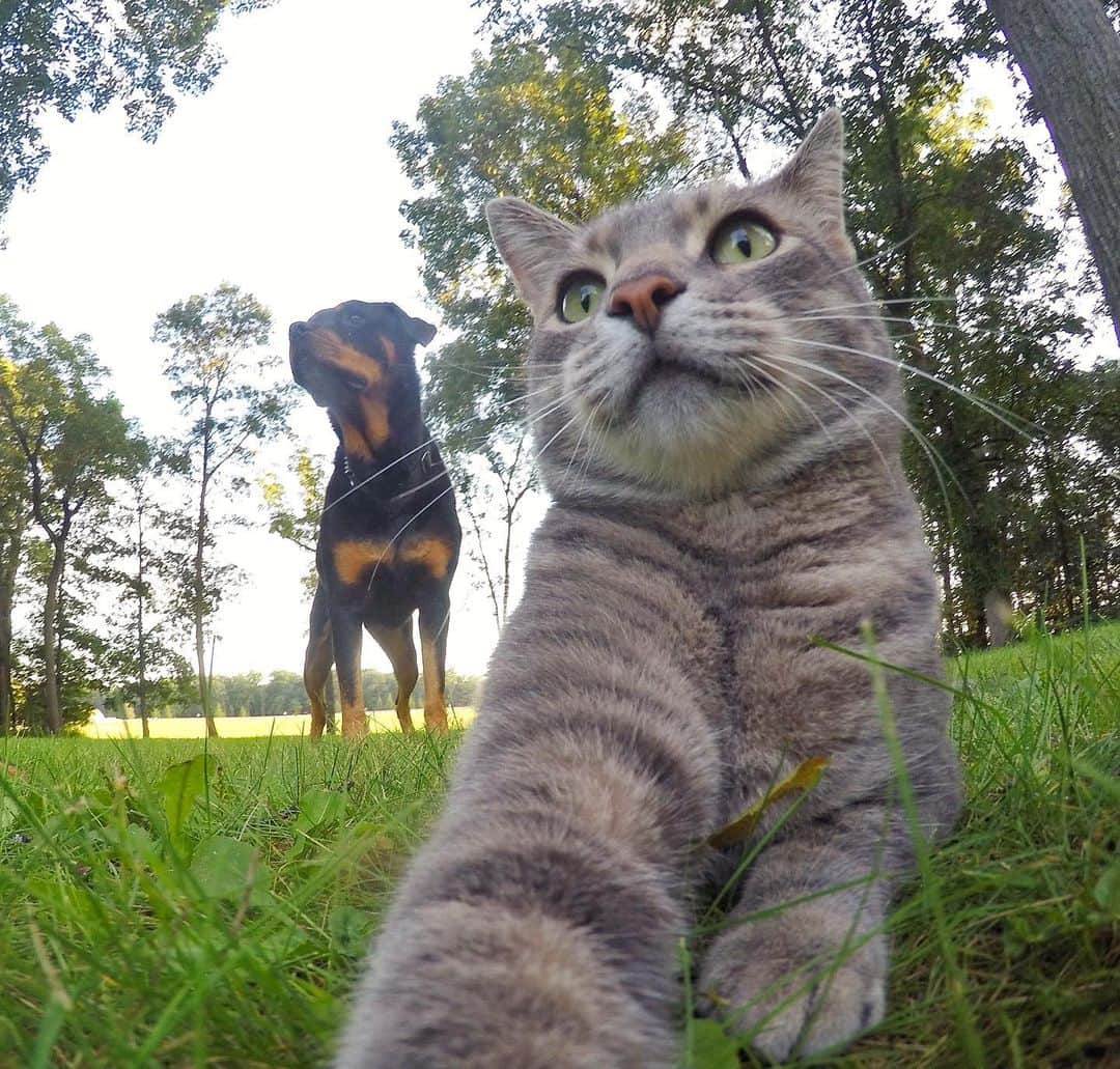 マニーのインスタグラム：「😸 #GoPro」